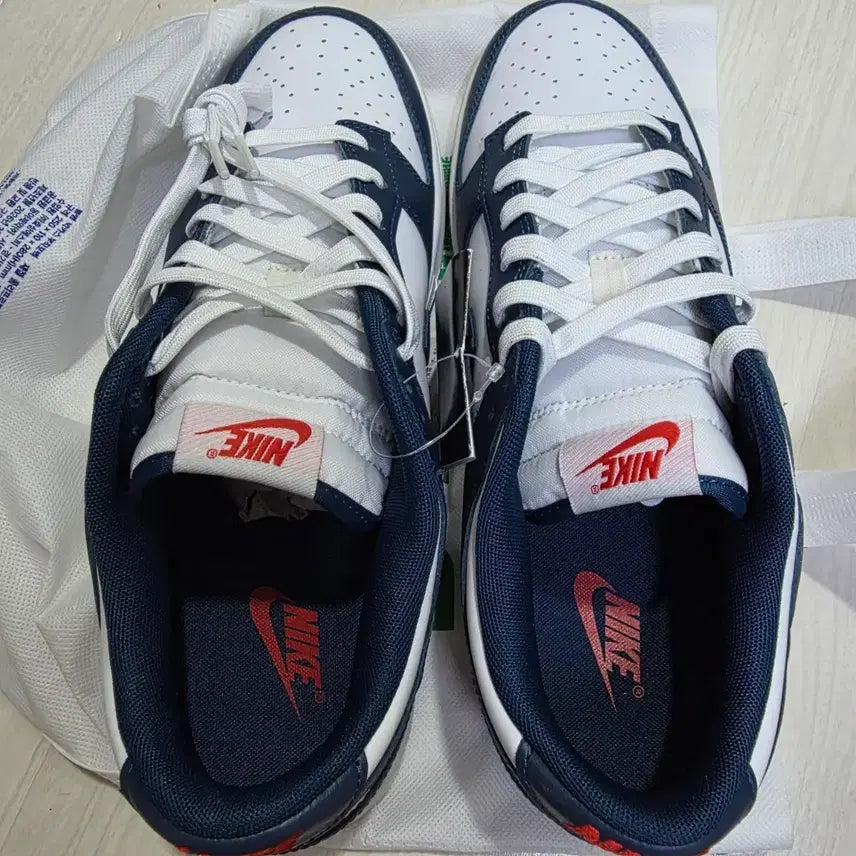 [BUNJANG] Nike Dunk Low Retro Valerian Blue (DD1391-400) Size 295mm / [새상품/295] 나이키 덩크 로우 레트로 발레리안 블루 (DD1391-400)