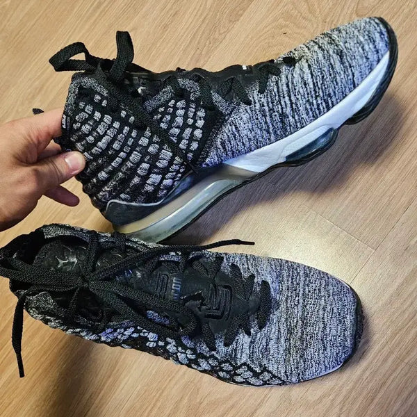 [BUNJANG] Nike LeBron 17 'In The Arena' US 10.5 / 르브론 17 인 더 아레나 285