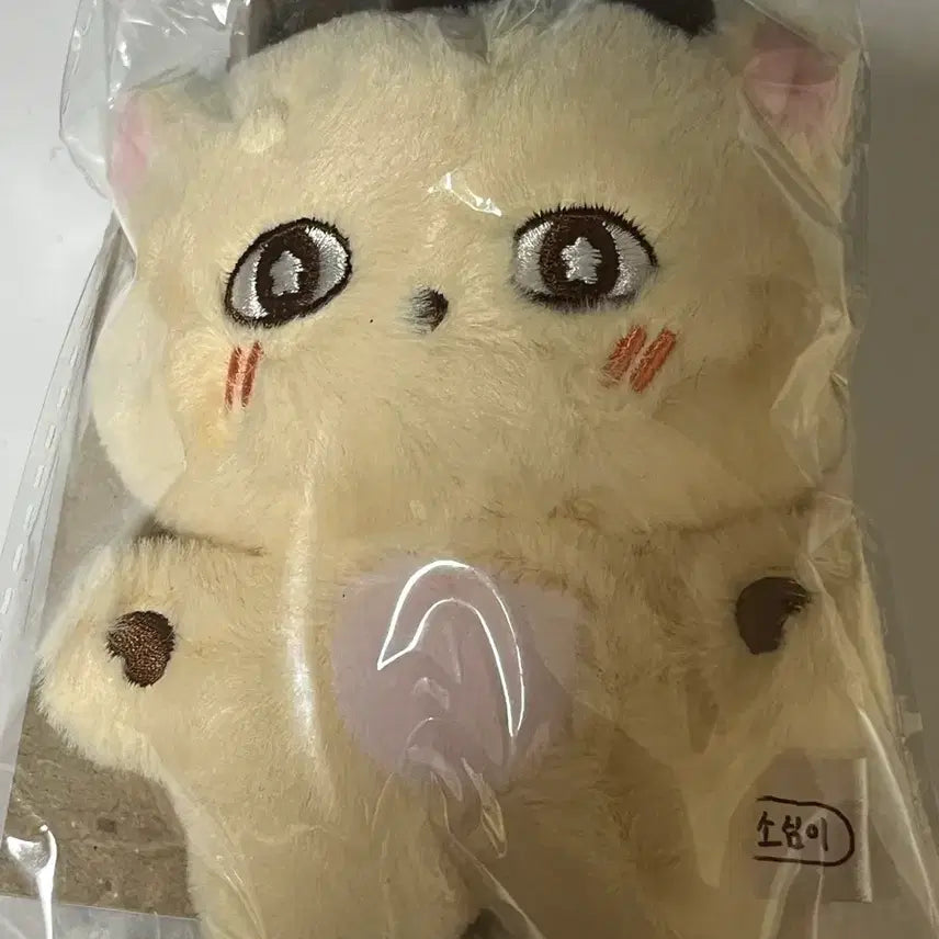 [BUNJANG] Park Jihoon Sosimi Doll (Sealed) / 박지훈 소심이 미개봉 인형 판매합니다