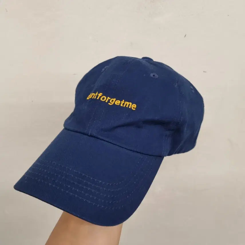 [BUNJANG] Don't Forget Me Big Head Cap Hat (Free Size) / [free size] 돈포겟미 대두 볼캡 모자