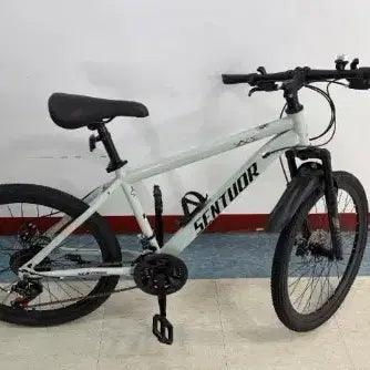 [BUNJANG] 24-inch Mint Bicycle / 24인치 민트색 자전거
