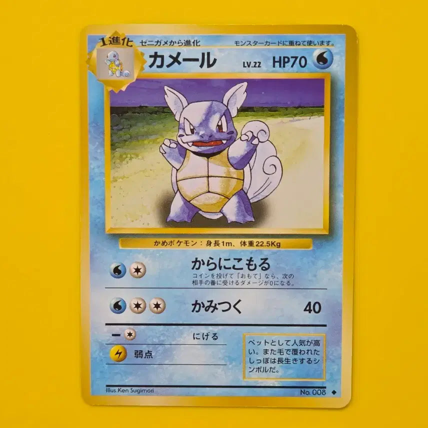 [BUNJANG] Pokemon Card Turtwig - Early Japanese Edition / 포켓몬카드 어니부기 초기 일판 일본판
