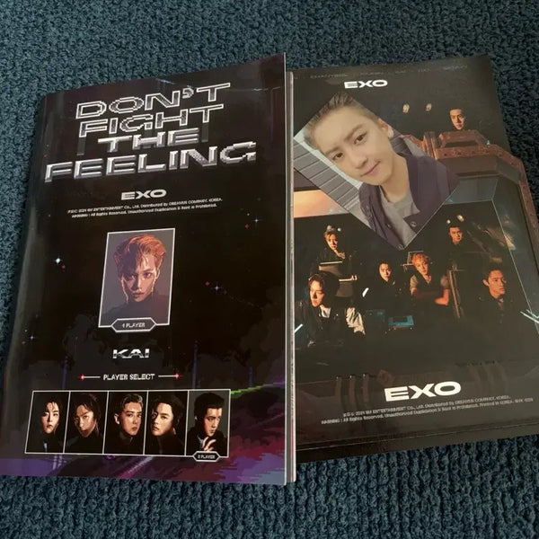 [BUNJANG] EXO Don't Fight the Feeling Album Chanyeol Photocard / 엑소 앨범 돈파필 앨범 돈파이트필링 dont fight feeling 찬열 포카