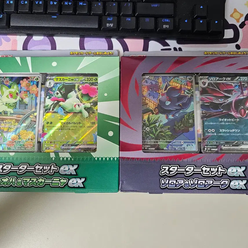 [BUNJANG] Pokemon Card Starter Pack 2 Types / 포켓몬카드 스타터팩 2종