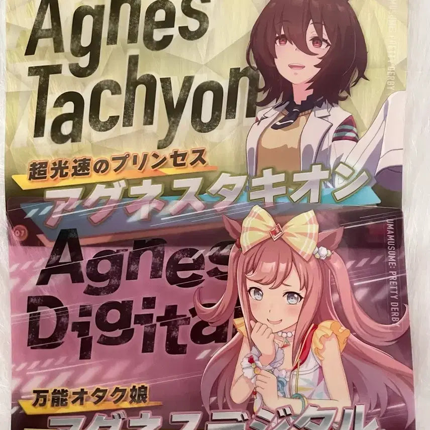 [BUNJANG] Uma Musume Agnes Tachyon & Agnes Digital Clear Poster Bundle Set / 일괄 우마무스메 아그네스 타키온 아그네스 디지털 클리어 포스터