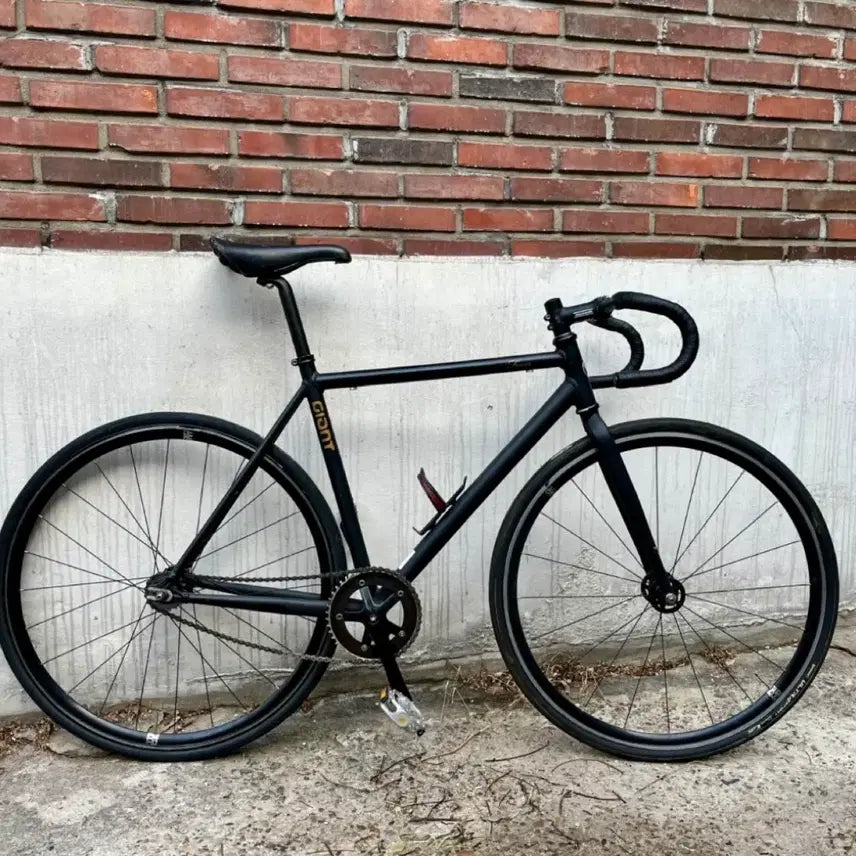 [BUNJANG] GIANT Pixie Fixed Gear Bicycle / 자이언트 픽시
