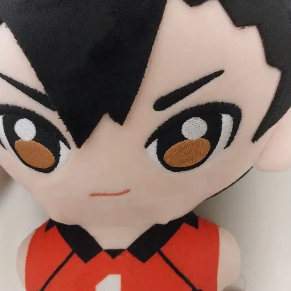 [BUNJANG] Kuroo Tetsuro Plush / 쿠로오 테츠로 인형