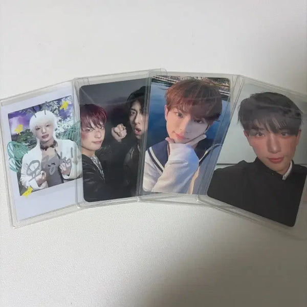 [BUNJANG] ENHYPEN Harua Bundle Set Photocard / 일괄) 앤팀 하루아 포카 양도