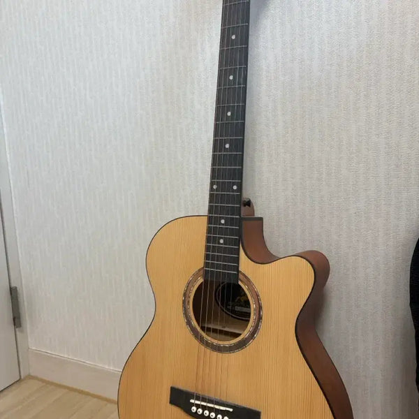 [BUNJANG] Swift Horse Acoustic Guitar / 스위프트홀스 어쿠스틱 기타