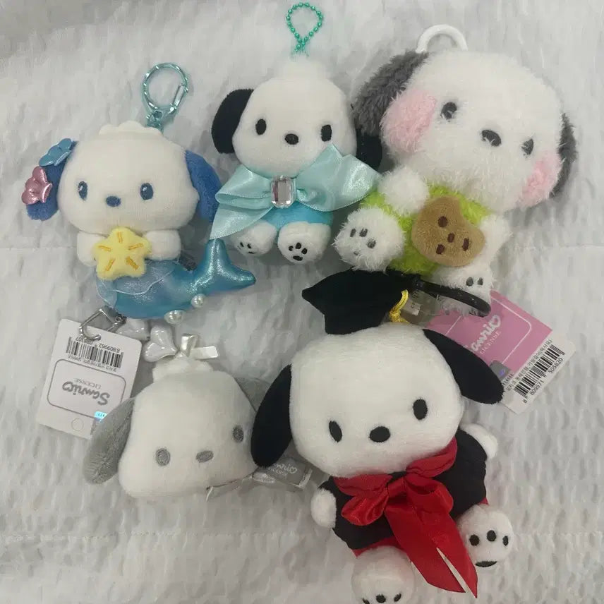 [BUNJANG] Crayon Shin-chan Pochacco Bundle Set / SWDM17 님 결제