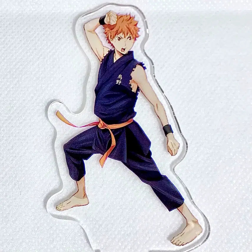 [BUNJANG] Haikyuu!! Hinata Shoyo Retro Acrylic Stand / 하이큐)고전)희귀)아크릴) 히나타 파이트 도복