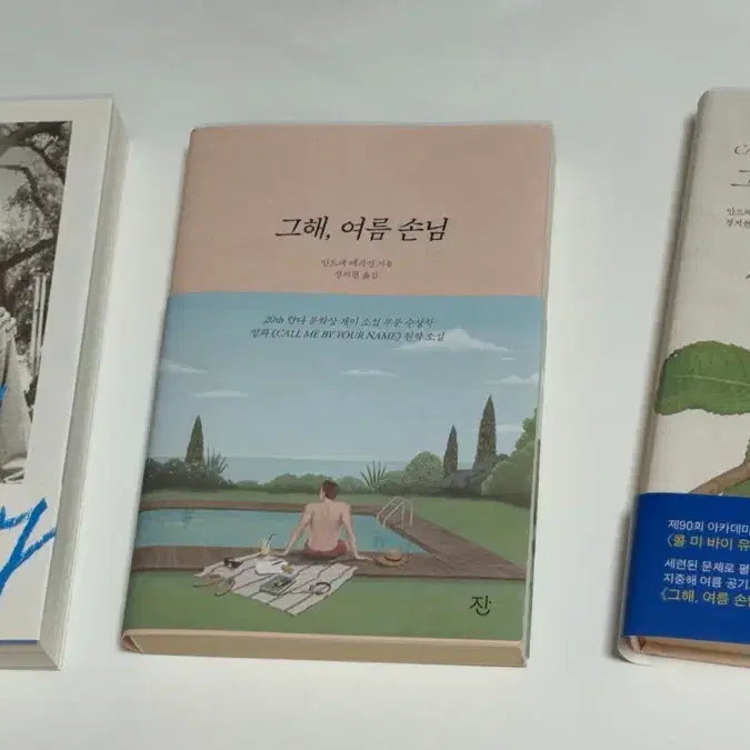 [BUNJANG] Call Me By Your Name: That Summer, The Guest Beautiful Boy Book Bundle Set / 콜바넴 그해 여름 손님 뷰티풀 보이 책 일괄