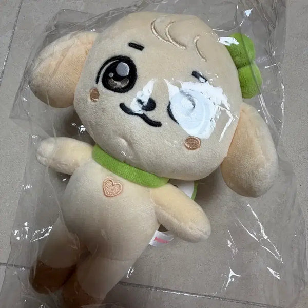 [BUNJANG] Gang Anji Original Plush / 강안지 오리지널 플러시