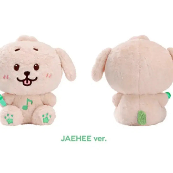 [BUNJANG] NCT WISH 30cm Daengtreever Doll / 엔시티위시 30cm 댕트리버