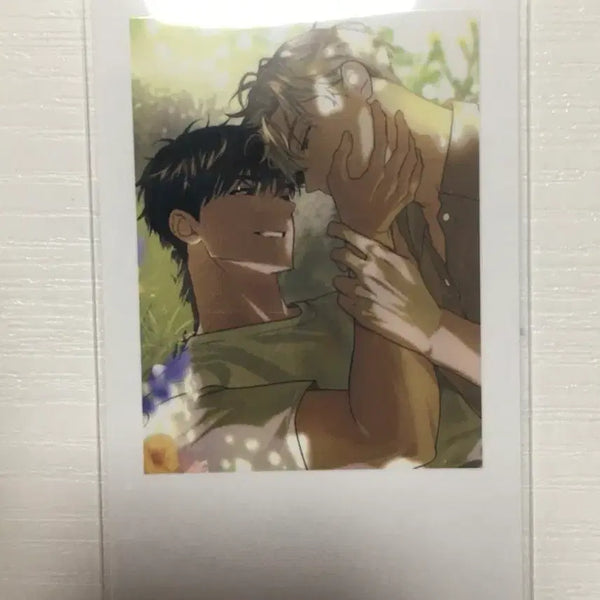 [BUNJANG] Noxctia Fashion Ilay Taei Polaroid / 녹티아 패션 일레이 태이 일태 폴라로이드