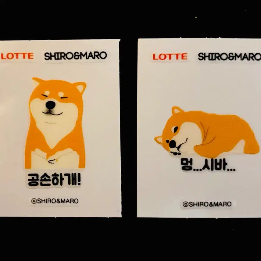 [BUNJANG] Shihiba Inu Ttibusel Sticker Set - Shiro & Maro / 시바견 띠부씰 - 롯데 시로&마로