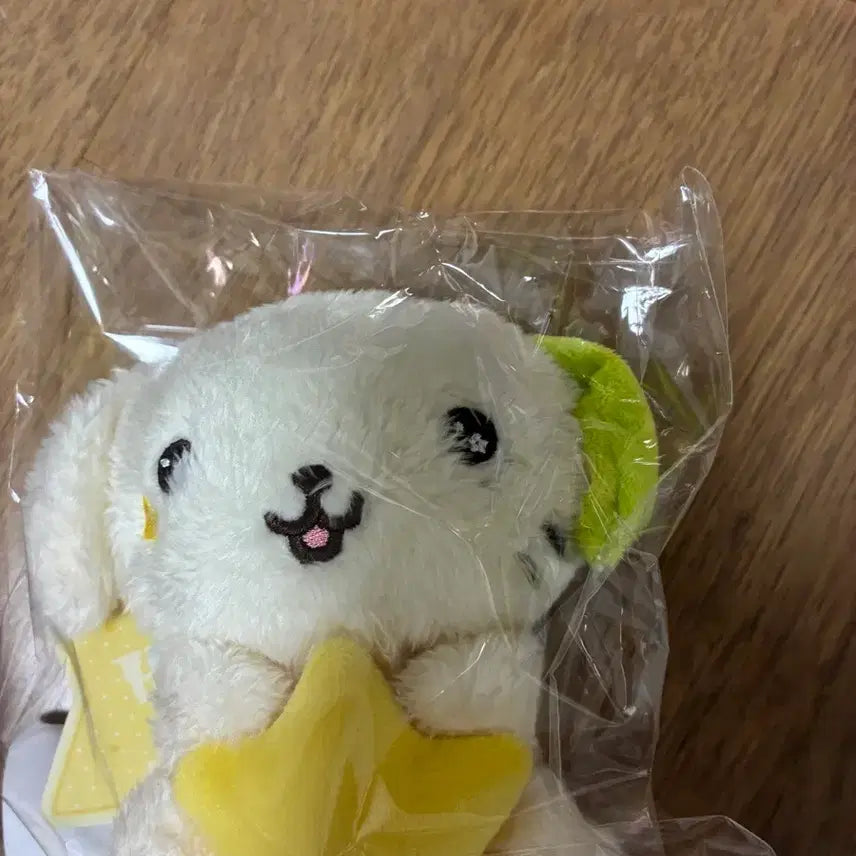 [BUNJANG] NCT WISH STARWISH DOLL Ryonryan Sealed / 엔시티위시 스타위시돌 룐룐 미개봉