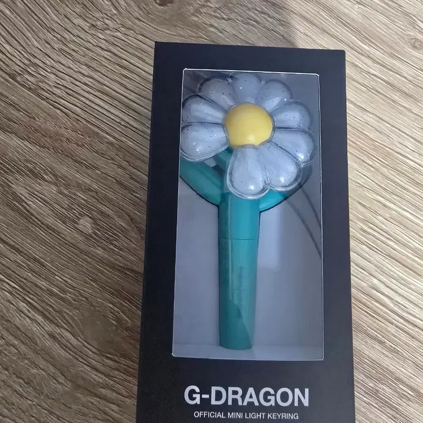 [BUNJANG] G-Dragon Mini LS Keyring Mint / gdragon mini LS keyring mint colour