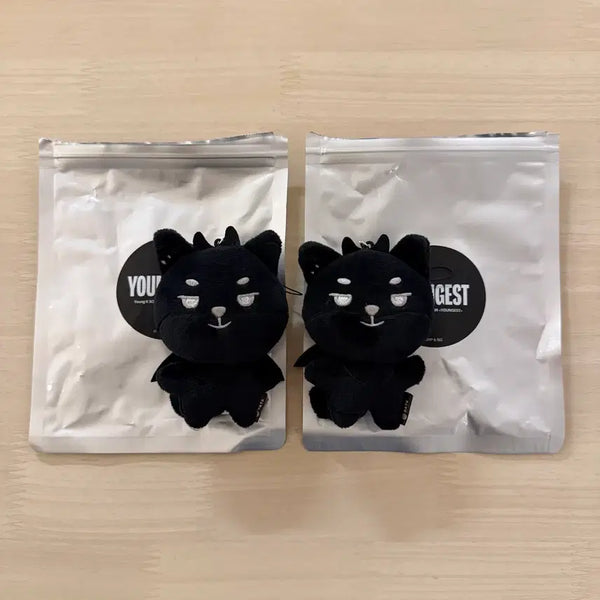 [BUNJANG] DAY6 Young K Secret Keychain / 영기스트 영케이 시크릿 키링