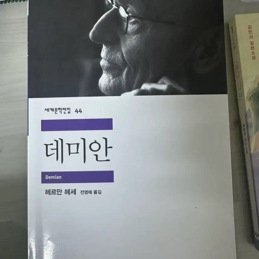 [BUNJANG] Demian / 데미안