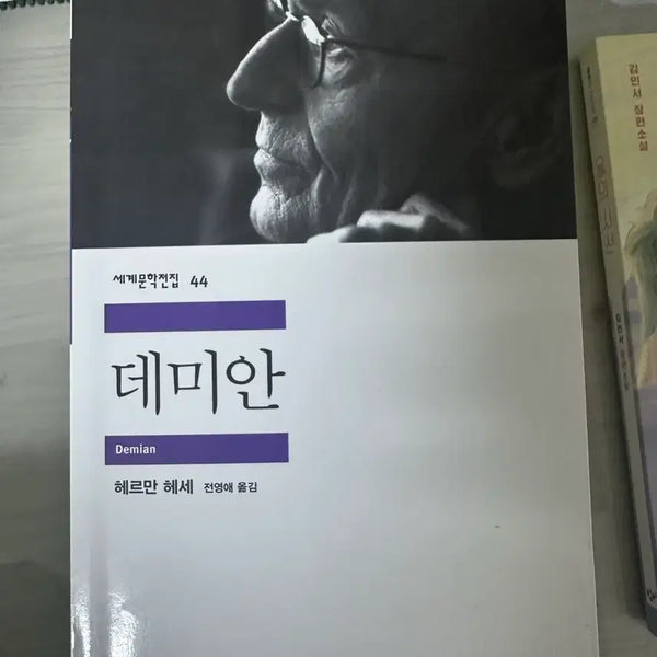 [BUNJANG] Demian / 데미안