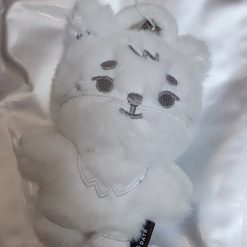 [BUNJANG] YOUNGHEART Secret Keychain Angel Ppumul / 영기스트 시크릿 키링 천사쁘멀 케