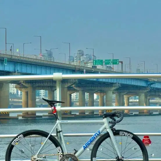 [BUNJANG] Adentli Pixie Fixed Gear Bicycle / 아덴틀리 픽시자전거