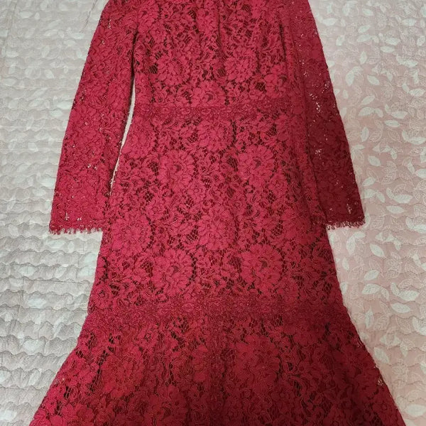 [BUNJANG] It Misha Red Lace Mermaid Fit Dress / (새상품/무료배송) 잇미샤 레드 레이스 머메이드 핏 원피스