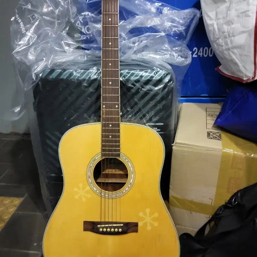 [BUNJANG] Acoustic Guitar (Floral Pattern) / 어쿠스틱 기타 (꽃무늬)