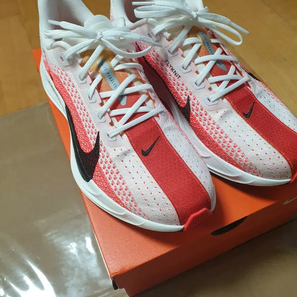 [BUNJANG] Nike Pegasus Plus Running Shoes (Size 275) / 나이키 페가수스 플러스 러닝화 275