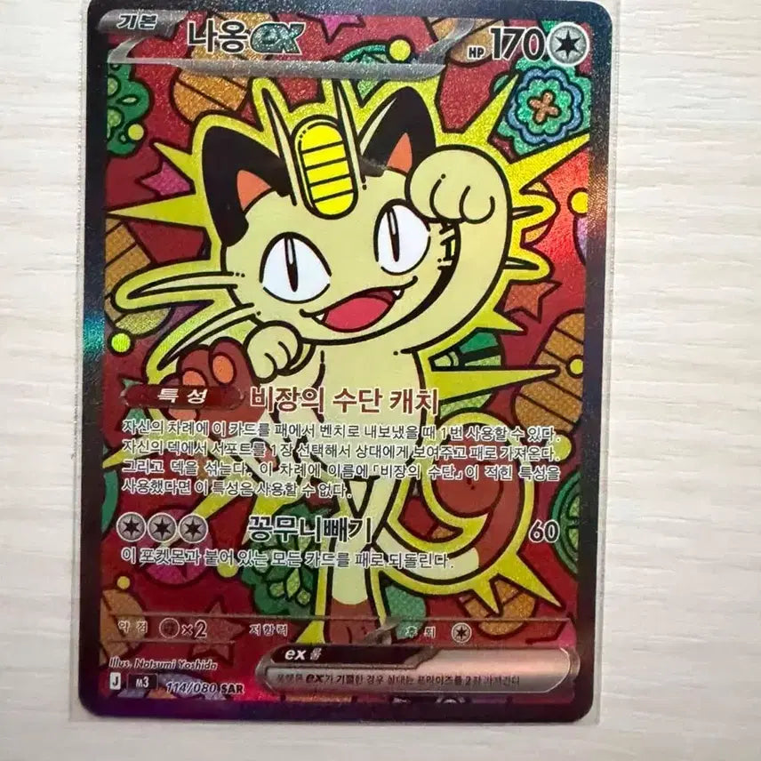 [BUNJANG] Naong SAR Card (S-Rank) / 나옹 sar (s급)