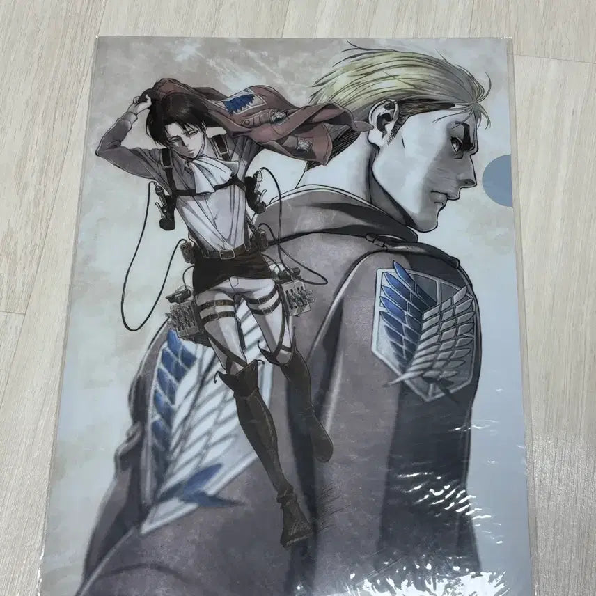 [BUNJANG] Attack on Titan Erwin Smith Levi Ackerman Eruri Clear File / 진격의거인 진격거 엘빈 리바이 에루리 클리어파일