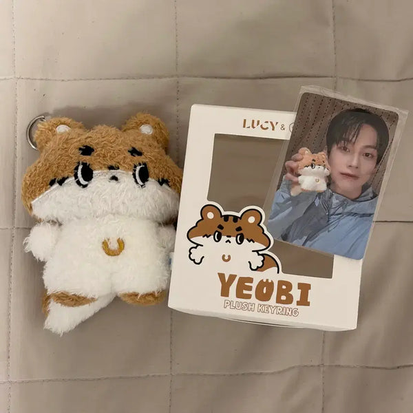[BUNJANG] Lucy Yeori Choi Sangyeop Photocard / 루시 시루 여비 최상엽