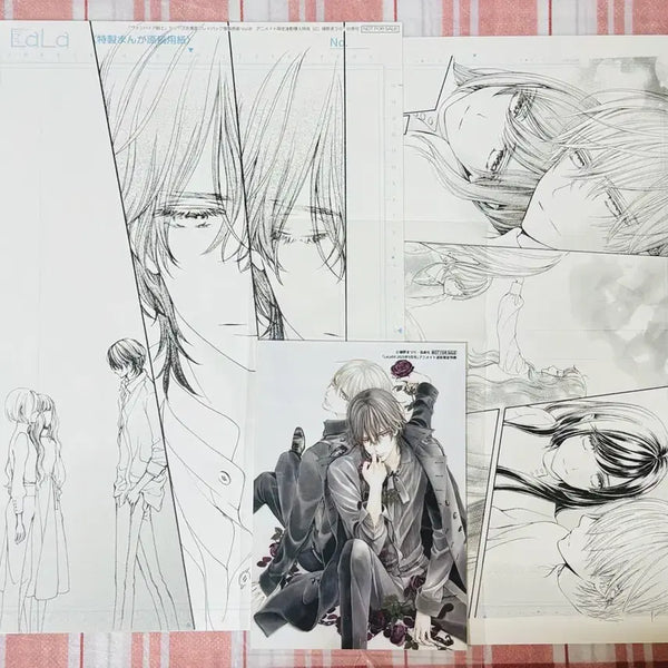 [BUNJANG] Vampire Knight Animate Special Bromide Replication Art Set / 뱀파이어 기사 애니메이트 특전 복제원화, 브로마이드 일괄