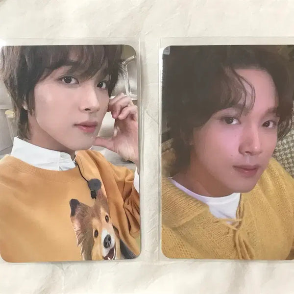 [BUNJANG] NCT Haechan Photocard Bundle Set / 엔시티 해찬 포카