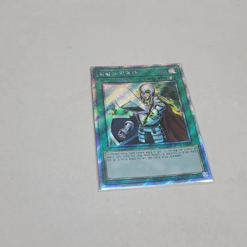 [BUNJANG] Yu-Gi-Oh! Executioner of the Will Exceed Rare / 유희왕 말살의 지명자 엑시크