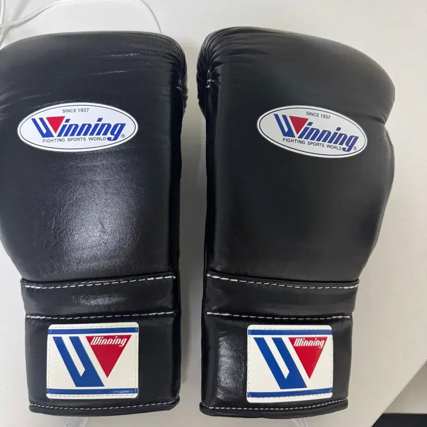[BUNJANG] Winning 12oz Boxing Gloves / 위닝 12온스