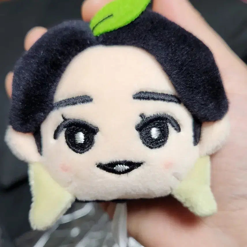 [BUNJANG] Green Apple Keyring / 키링