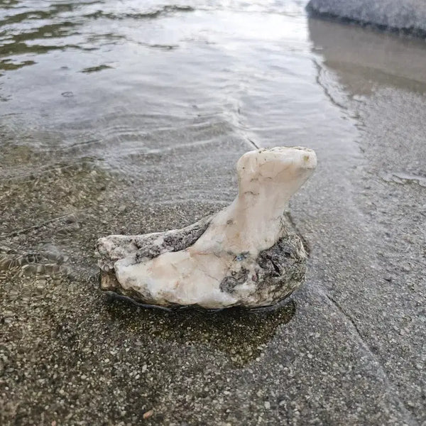 [BUNJANG] Natural Stone Swan Figurine (approx. 15cm) / 수석 자연석 백조 형상석 크기 15센치정도