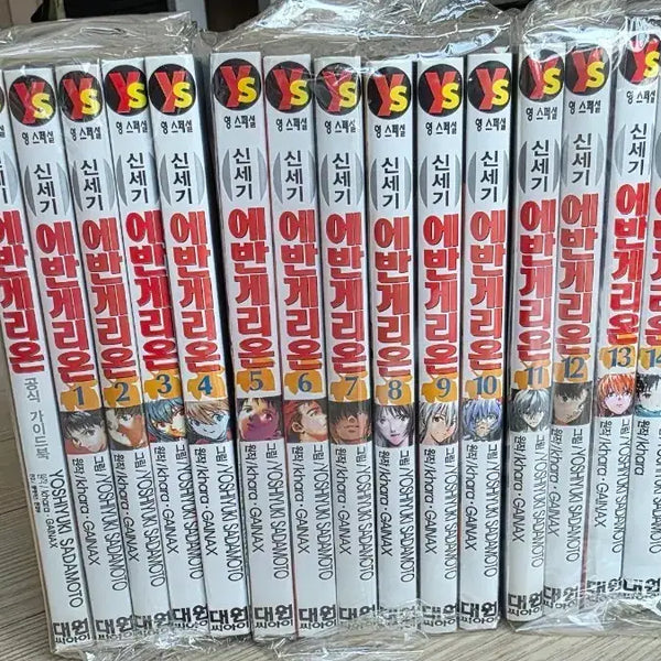 [BUNJANG] Neon Genesis Evangelion Complete Set Manga / 신세기 에반게리온 전권 팝니다