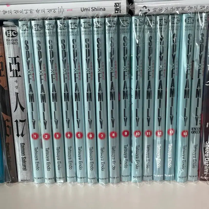 [BUNJANG] Spy x Family Vol. 1-14 + Fanbook / 스파이 패밀리 1-14권 + 팬북