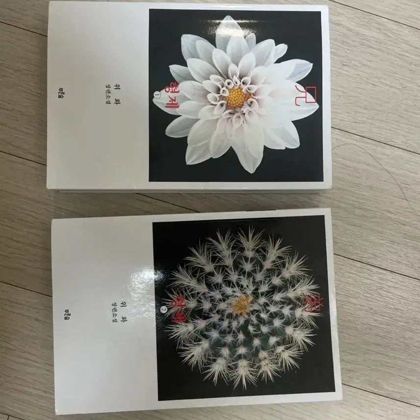[BUNJANG] Wei Hua Brothers Vol. 1-2 Set / 위화 형제 1-2