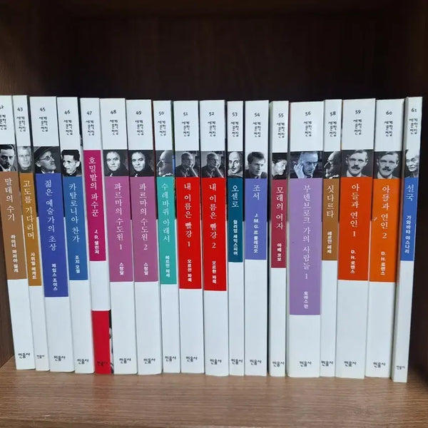 [BUNJANG] Minumsa World Literature Collection Set B (Volumes 42-80, 28 Books Bundle) / 민음사 세계문학전집 B세트