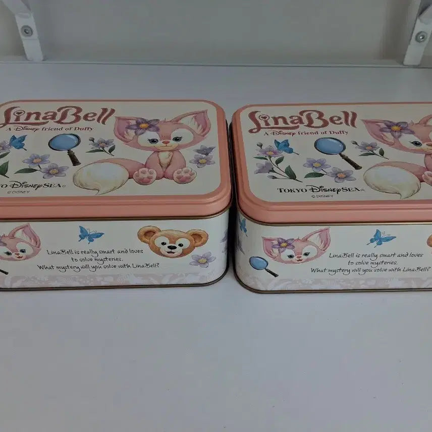 [BUNJANG] Tokyo DisneySea Tin Case / 도쿄 디즈니씨 틴케이스
