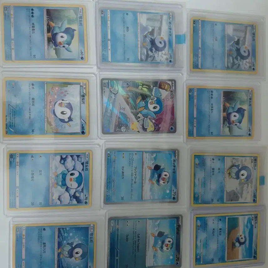 [BUNJANG] Pokemon Piplup 12-Type Card Set / 포켓몬 팽도리 카드 12종 세트
