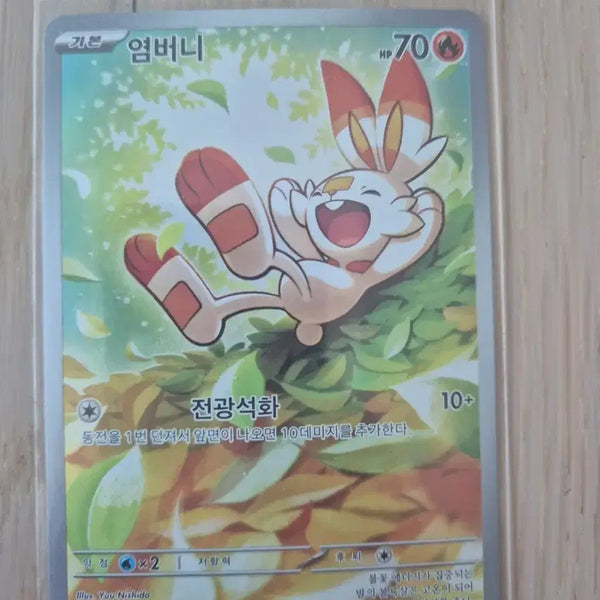 [BUNJANG] Pokémon Card Scorbunny AR 100 Deck / 포켓몬카드 100덱 염버니 ar