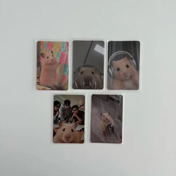 [BUNJANG] Hamzzi Pop-up Exclusive Photocard Set (5 Types) / 햄찌 팝업 증정 포토카드 5종 세트 판매합니다.