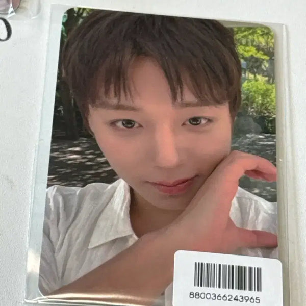 [BUNJANG] Park Jihoon FORMENT Photocard / 박지훈 포맨트 포카
