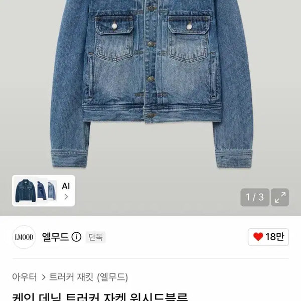 [BUNJANG]  Elwood Cane Trucker Jacket / 엘무드 케인 트러커자켓 48