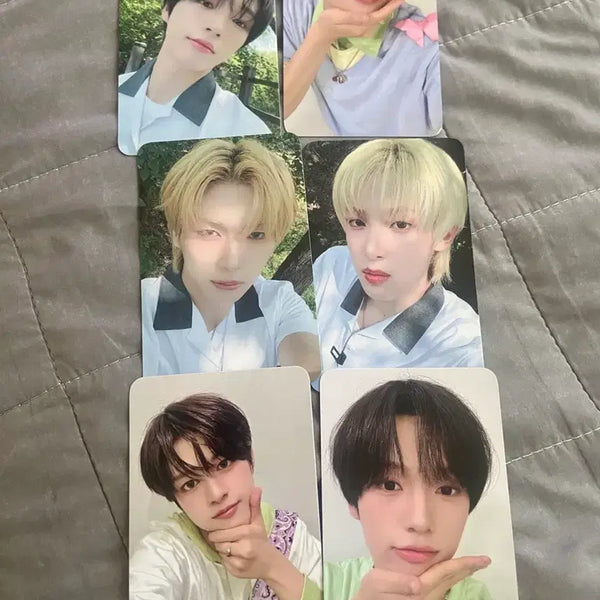 [BUNJANG] Bayon Photocard / 베이온 포카 양도